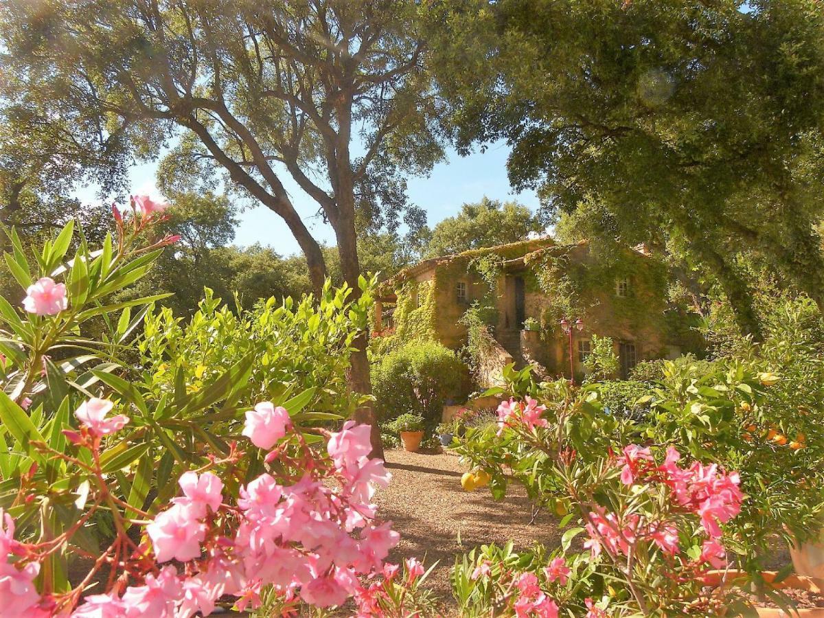 생트막시메 Le Bastidon Saint-Michel B&B 외부 사진