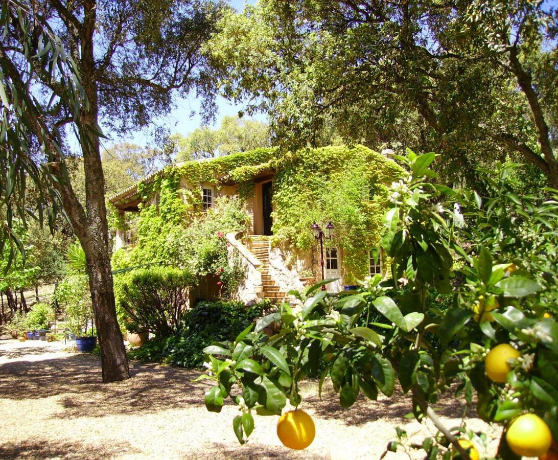 생트막시메 Le Bastidon Saint-Michel B&B 외부 사진